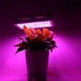 Lampe Horticole 1000W,Led Horticole Floraison Lampe--Full Spectrum Hydro LED élèvent la lumière pour Plantes,Fleurs et Légumes I-3