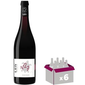 VIN ROUGE Domaine UBY Vin de France BYO Cabernet Franc Vin Rouge BIO x6