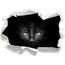 Sombre Visage De Chat Noir Papier 3d Sticker Mural Taille 92x67