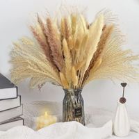 JANZDIYS -Bouquet de fleurs séchées naturelle-Natural Touch-4 couleurs de plantes-60pcs-longeur 44CM