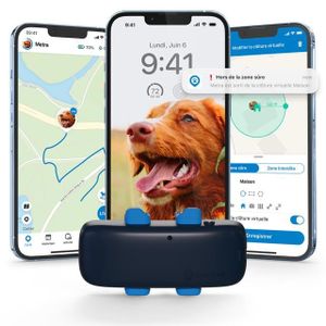 Camera Collier Chat Cdiscount