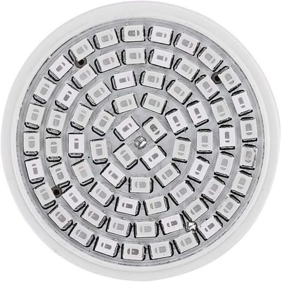 Lampe Horticole 100/50W,Lampe de Croissance des Plantes à Spectre