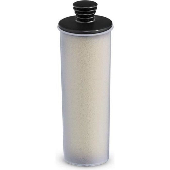KARCHER Cartouche filtrante pour SC3