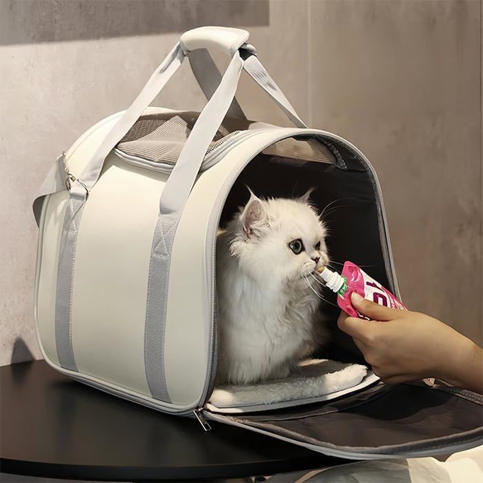 Sac de transport pour chat chien grand espace anti-pliage sac de transport pour petits chats et chiens pour maison lextérieur