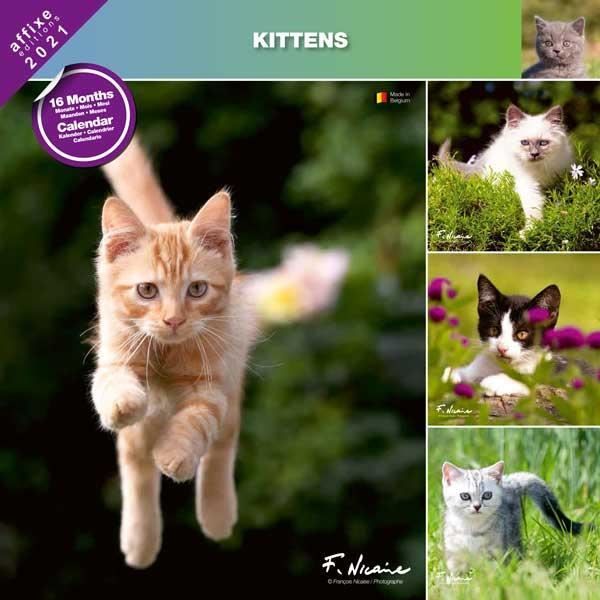 Calendrier 2021 Chaton Achat Vente Pas Cher calendrier chatons 2021