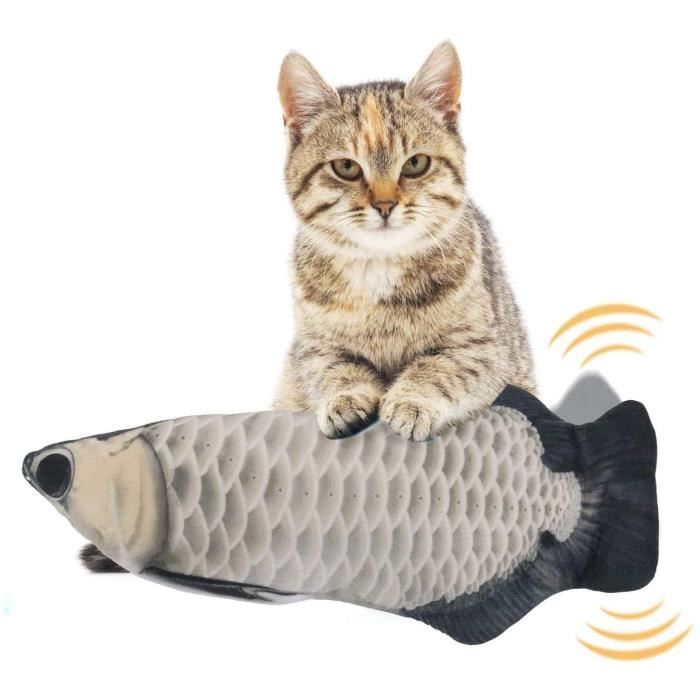 Cataire Chat Cataire Chat