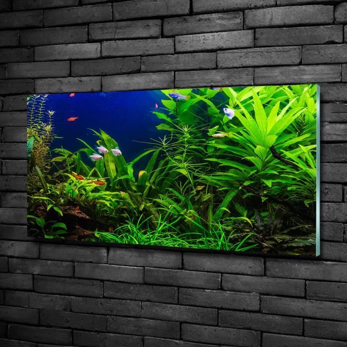 Tulup 100x50cm Tableau sur verre de sécurité:- Paysage - Poisson Dans L'aquarium - Vert