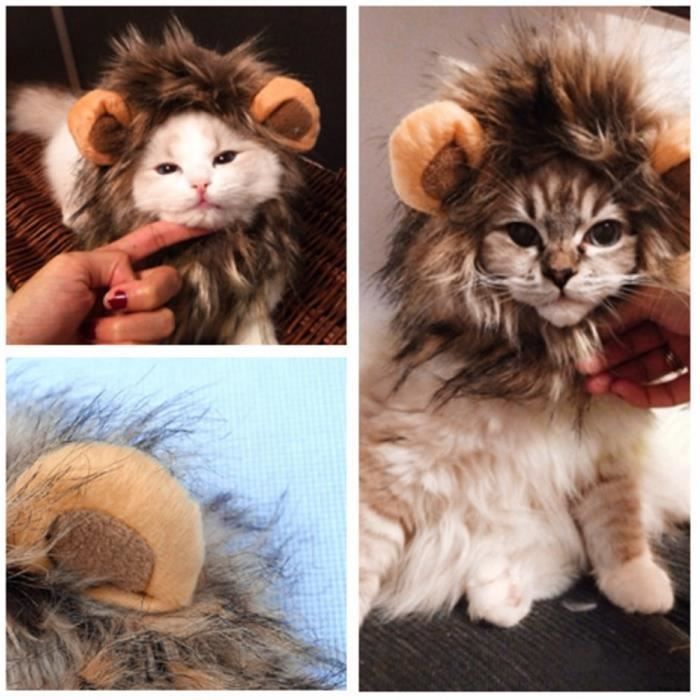 Manteau Blouson Costume De Cosplay Pour Animaux Domestiques Chapeau De Perruque Avec Oreilles Et Chat Deguisement De Noel Pour Achat Vente Manteau Ostume De Cosplay Pour Animaux Cdiscount