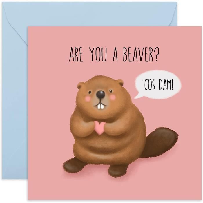 Carte Saint-Valentin Amusante FLYAB DT2 - Message Original Pour Votre Moitié