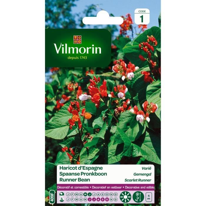 Haricot d'Espagne varié - VILMORIN - Plante grimpante - Fleurs rouge, orangée et blanche