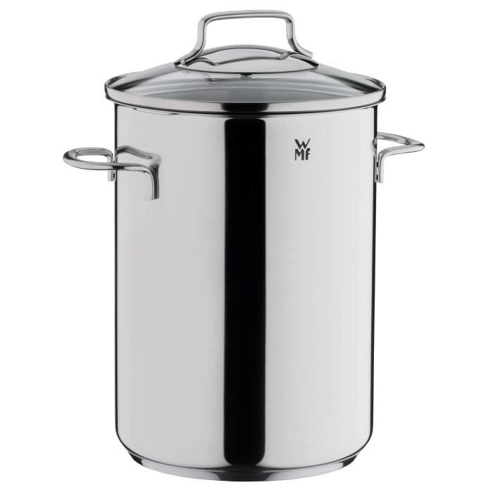 GSW Aspergepan – hoogwaardige pan met zeef en glazen deksel, ideaal voor het koken van asperges, pasta en groenten, ook voor inductie, roestvrij staal, 4,2 liter, zilver