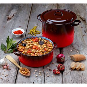 TEFAL DAILY EXPERT Faitout avec couvercle 24CM 5L ROUGE