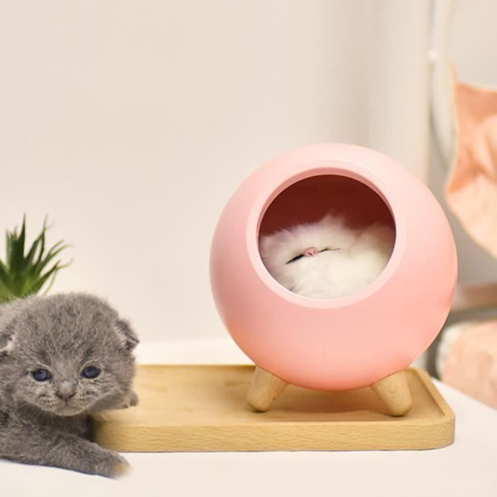 Sonew petite veilleuse pour animal de compagnie Veilleuse LED tactile chat  mignon avec câble USB Veilleuse LED à gradation tactile - Cdiscount Maison