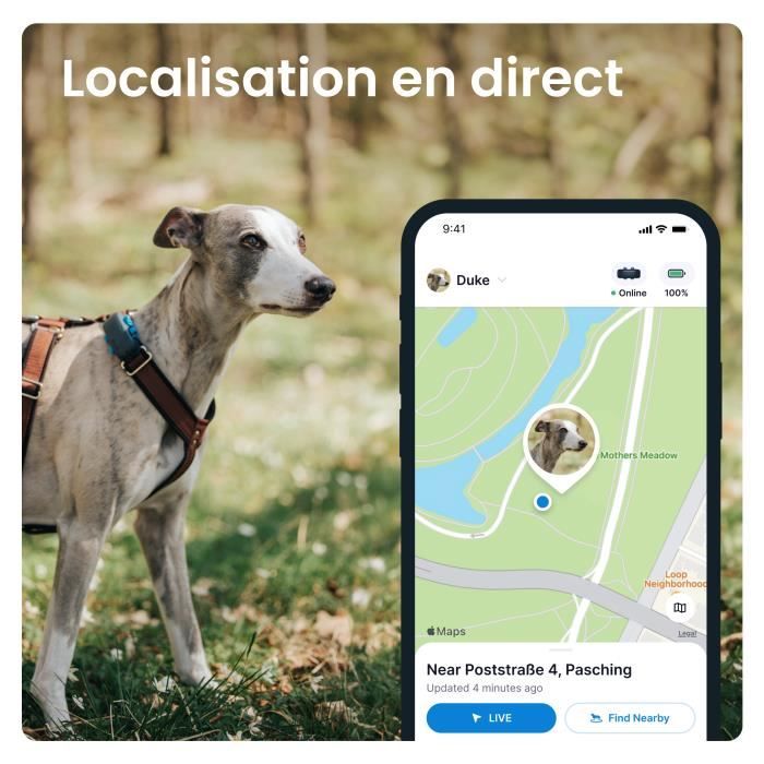Tractive DOG XL - Collier GPS pour chien avec grande batterie