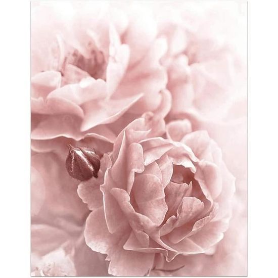 Affiche Toile Fleur Pivoine Rose - 50x70 Cm Sans Cadre - Décoration Murale Nordique, Salon, Chambre, Bureau