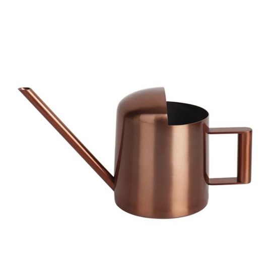 Arrosoir, 900 Ml Arrosoir D'Intérieur Arrosoir Pour Plantes Arrosoir Plantes D'Intérieur