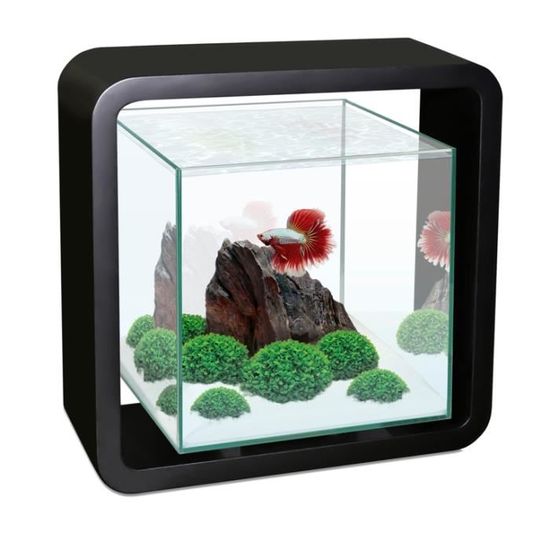 Aquarium design poisson combattant 5 litres Cdiscount Animalerie