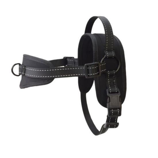 Service Dog Vest Harness And Leash Set, Animire In Training Dog Harness With 10 Dog Patches, Reflective Dog Leash With Soft Padded Handle For Small, Medium, Large, And Extra-Large Dogs