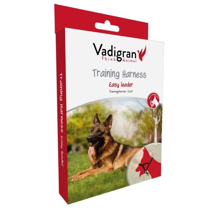 Harnais Licol noir . taille L. 46-62 cm. pour chien.-Vadigran 3,000000 Noir