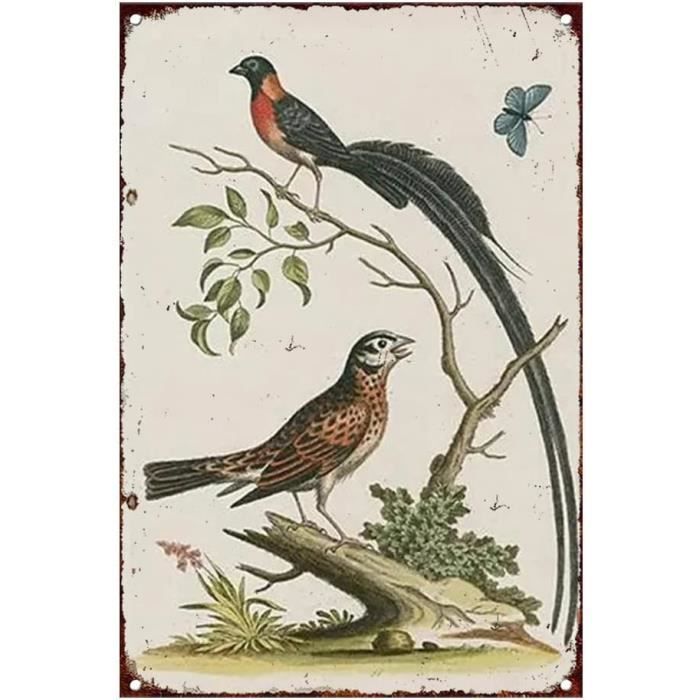 Plaque Métal Rétro "Mieux Vaut Une Bière