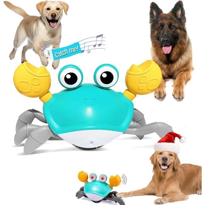 Jouet Crabe Interactif pour Chien Mouvement LatéRal Et Sons