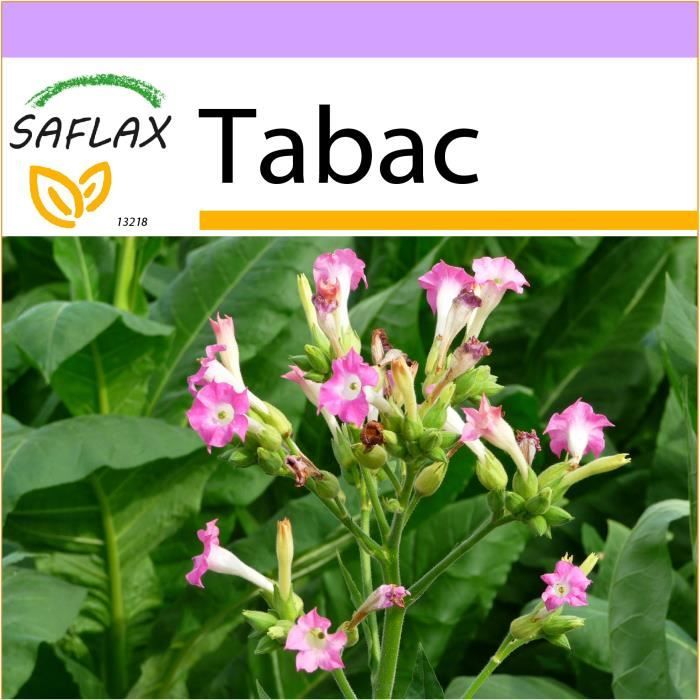 FEUILLE DE TABAC SÈCHE 1 KG TABAC BLOND DE VIRGINIE PROMOTION