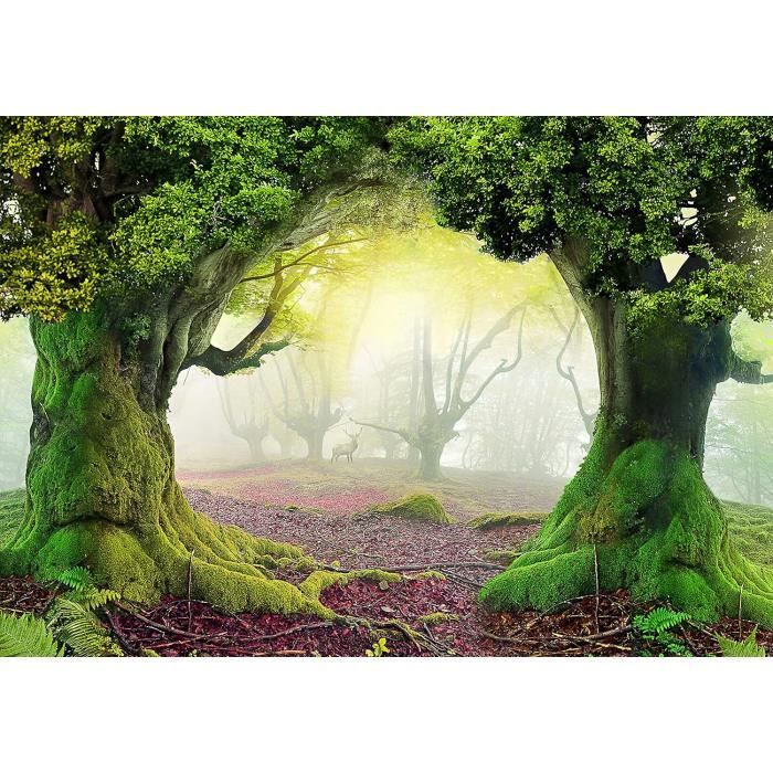 Papier Peint Intissé - Décoration Murale XXL Photo Zen Humeur