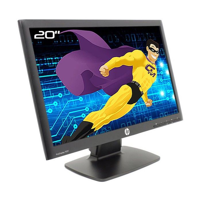 Ecran PC Pro 20 HP ProDisplay P201 HSTND-3731-Q TFT VGA DVI VESA Widescreen