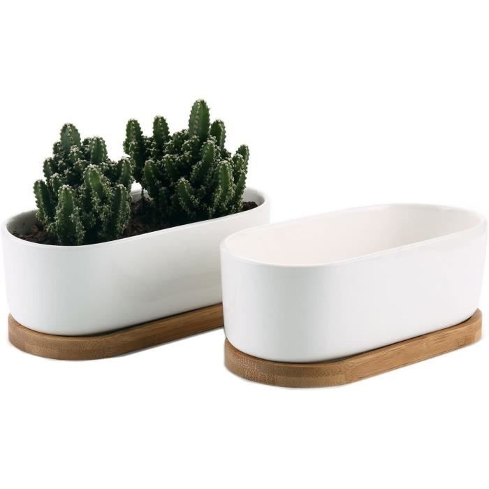 Lot De 2 Pots De Succulentes En Céramique Blanche 10x10 Cm - Avec Soucoupes En Bambou - Pour Cactus Et Petites Plantes
