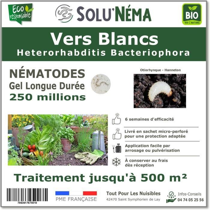 Nématodes SOLUNEMA Contre Pyrale Du Buis - 250 Millions, Longue Durée | Traitement Biologique Naturel