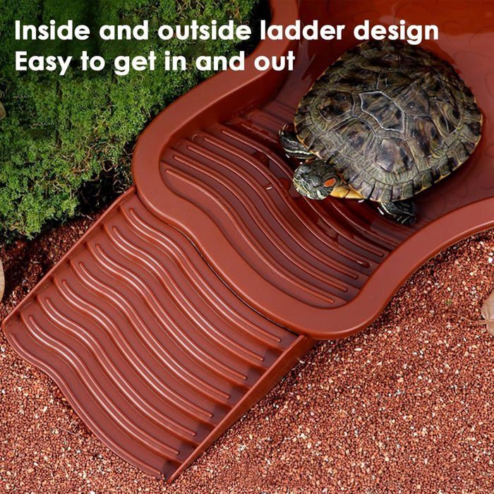 Accessoires Tortue De Terre