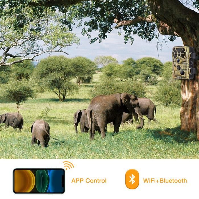 Cam ra de chasse CAMPARK T80 WiFi Bluetooth 20MP 1296P avec 36
