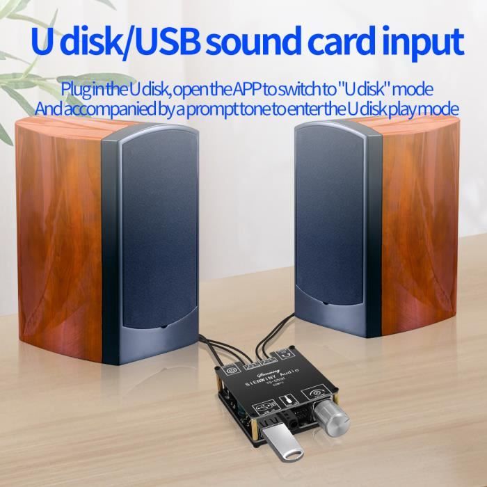 Module Amplificateur Numérique Bluetooth 5.1 - 50W+50W Stéréo, Entrées USB/AUX/Bluetooth, Télécommande