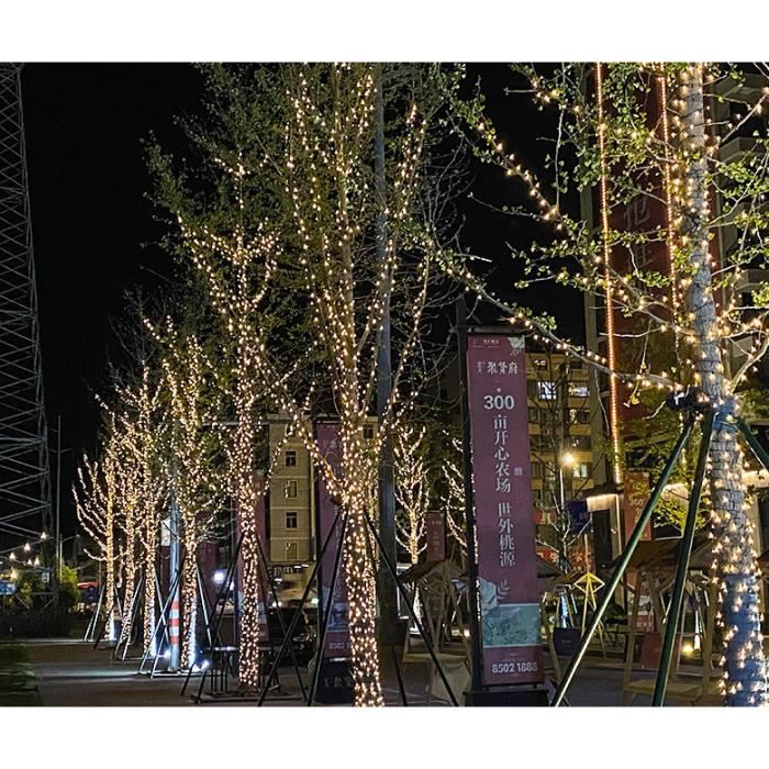 SWANEW Guirlande solaire extérieure 10m 15 LED avec télécommande pour  Jardin Cour Balcon Fête Mariage Festival