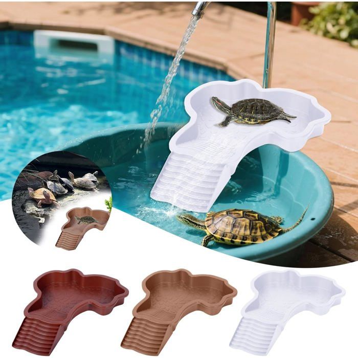 Accessoires Tortue De Terre