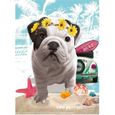Puzzle Chien Teo Jasmin California - 500 Pieces - Nathan Collection Animaux Photo d Art-0