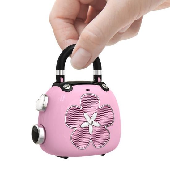 Mini Haut-parleur Bluetooth Portable EWA A106 Pro| Fiche Technique Et Prix Au Maroc