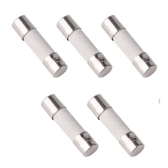 Fusible Rapide (F) En Ceramique 10A/250VAC 5x20mm (Boite De 10