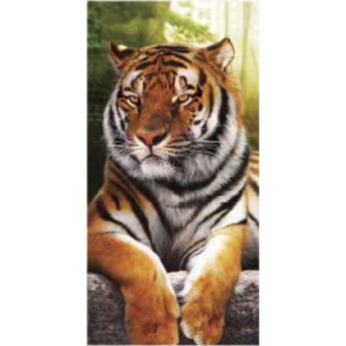 Serviette de plage Tigre Marron 90x170