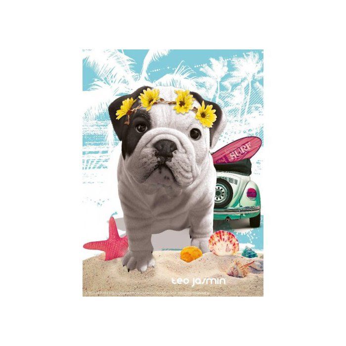 Puzzle Chien Teo Jasmin California - 500 Pieces - Nathan Collection Animaux Photo d Art