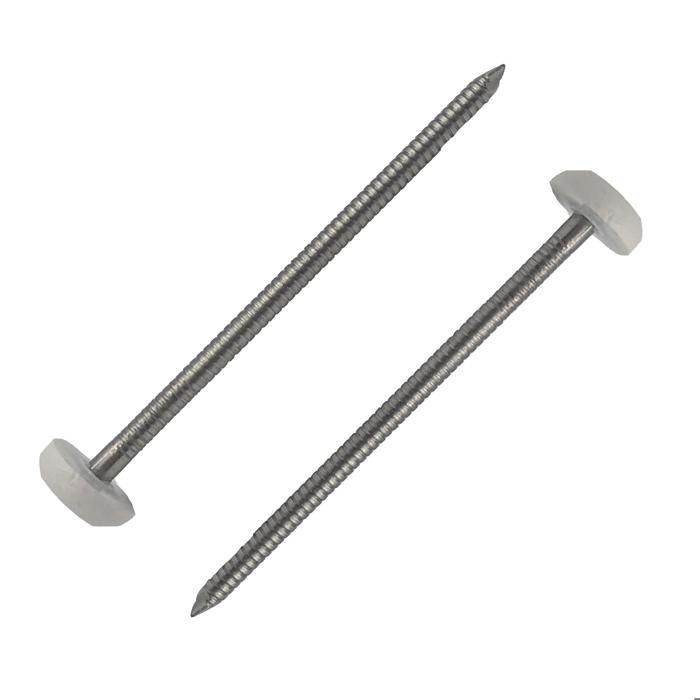 pointes-t-te-plastifi-e-2-10-x-40-mm-blanche-ral-9010-boite-100