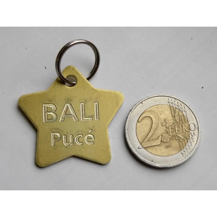 1 MÉDAILLE gravée pour chien ETOILE STAR (GM) en Laiton