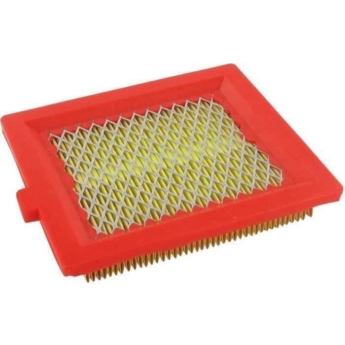 Greenstar 5899 Filtre à air pour Castelgarden/Stiga