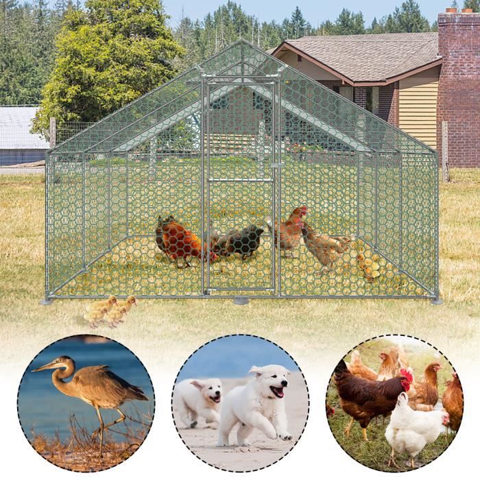 Meilleurs prix pour Poulailler - LZQ - 3 x 6 x 2 m - Acier galvanisé - Toit en polyéthylène - Sécurisé avec serrure