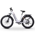 Vélo électrique pour adultes, moteur Bafang 500 W avec batterie Samsung 48 V 17,5 Ah, VTT électrique à gros pneus avec Shimano 7-1