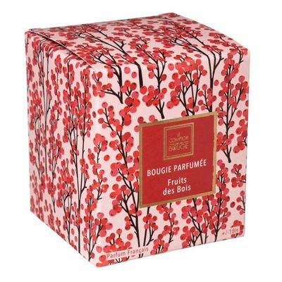 Bougie Parfumée Hapo Fleur De Coton 150g - Atmosphera Créateur D