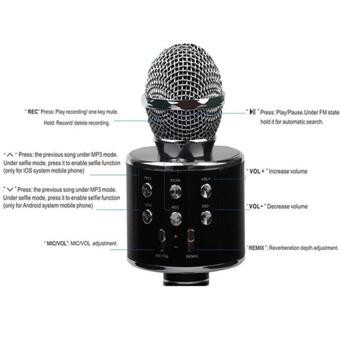 Haut Parleur de microphone karaoké sans fil WSTER WS-838 - Vert