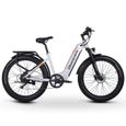 Vélo électrique pour adultes, moteur Bafang 500 W avec batterie Samsung 48 V 17,5 Ah, VTT électrique à gros pneus avec Shimano 7-3