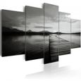 Dimension 100x50 Magnifique Tableau Champs Nature Paysage Noir