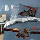DREAMWORKS Parure housse de couette pur coton Dragons - Taille: 140x200 cm - couleur : Bleu